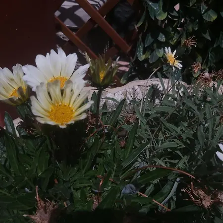 Appartamento Casamg