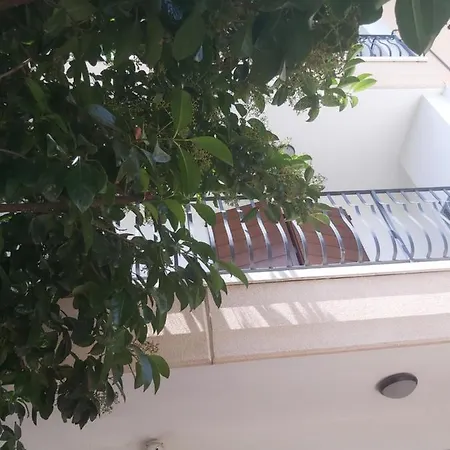 Casamg * رافيننا