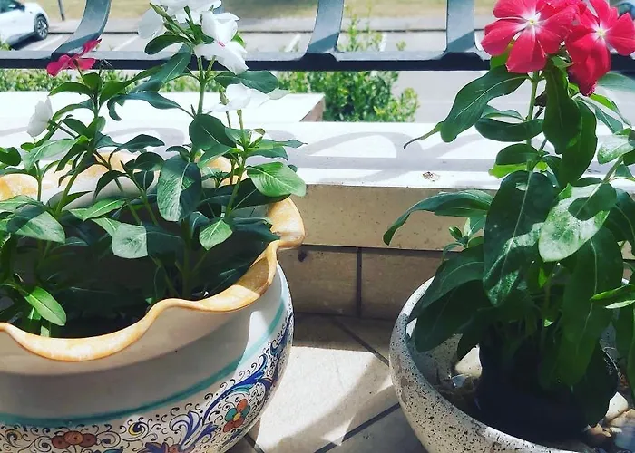 Casamg * ラヴェンナ